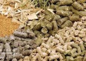 نقيب البيطريين لـ «شركات خامات وإضافات الاعلاف » : مد صلاحية استمارة تسجيل الأعلاف والخامات لـ6 سنوات