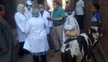عبد الحكيم محمود : صحة الحيوان جسر منيع لصد اى مرض او فيروس يتنشر بين القطيع