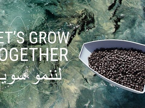 اللر أكوا إيجيبت Aller Aqua