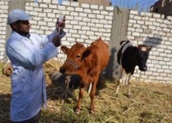 داء ودواء…….تعرف علي الحمة القلاعية اسبابها وعلاجها