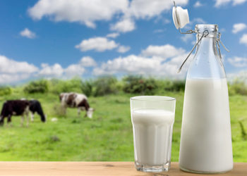 ممدوح السباعي : 25 % زيادة في إنتاج الألبان خلال 5 سنوات