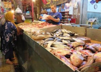 بورصة السمك : السبيط يسجل 200جنية والقاورص 160جنية