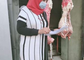 ضبط محل فراخ بالمنوفية يحقن الدواجن بالمياه ولحوم مذبوحة خارج المجازر