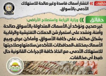 الزراعة: الأسماك المتداولة بالأسواق صالحة وآمنة