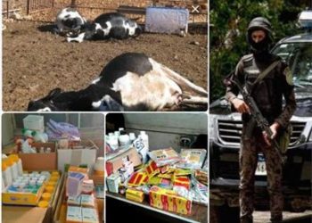 حملات أمنية مكبرة لمواجهة «مافيا» الدواء البيطري