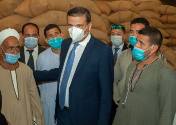 البنك الزراعي المصري: توريد 504 ألف طن قمح بشون البنك بقيمة 2 مليار و425مليون جنية