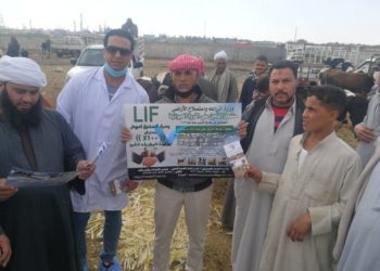 صندوق التأمين على الثروة الحيوانية ينفذ ندوة توعوية بسوق العامرية لتوعية المربيين باهمية التأمين على الماشية