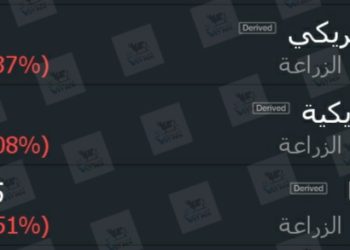 بورصة شيكاغو للحبوب تنهى تعاملاتها الأسبوعية على انخفاض مؤشر ذرة صفراء وفول صويا