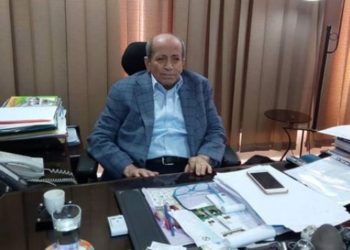 اتحاد منتجي الدواجن : ارتفاع أسعار الأعلاف يؤثر بالسلب على حجم الاستثمارات بالسوق المصري