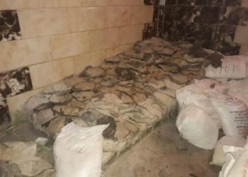 ضبط 13 طن من اللحوم  ومصنعاتها غير صالحة للإستخدام الأدمي بالجيزة