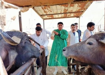 الزراعة : النشاط التدريبي لمعهد التناسليات الحيوانية خلال شهر يونيو