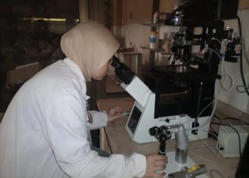 الزراعة: أجهزة حديثة للحقن المجهري بمعهد التناسليات الحيوانية