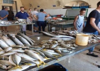 أطلقت مبادرة جديده للاستزراع السمكي بلبنان