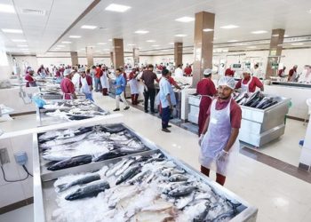 هيئه أبو ظبي للزراعة والسلامة الغذائية حددت بعض الضوابط لمربي الأسماك