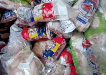 ضبط ٣٩ طن لحوم ودواجن وكبدة وأسماك مملحة غير صالحة بالجيزة