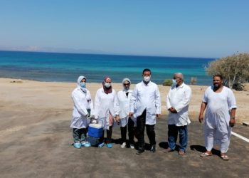 بيطرية بالبحر الأحمر : تم التعاون مع الجزارين على عدم زيادة الأسعار خلال فترة العيد