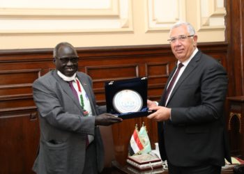 القصير يؤكد على توجيهات فخامة الرئيس السيسي بتقديم كل الدعم للأشقاء في جنوب السودان