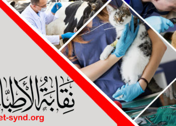 9 قرارات هامة لـ « نقابة البيطريين »بشأن سلامة الغذاء