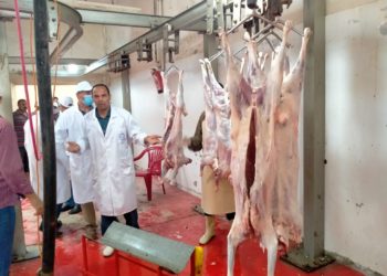بغرض التصدير..الزراعة تعتمد المجزر الآلي بالنوبارية التابع لصندوق التأمين على الماشية