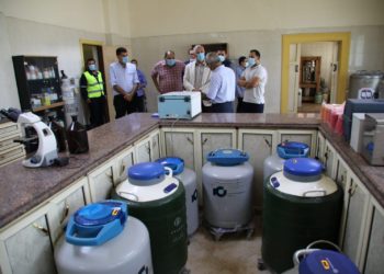 القصير: مركز التلقيح الاصطناعي يوفر أفضل السلالات المنتخبة ذات الإنتاجية العالية في اللحوم والألبان