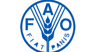 اتلاف 171 طنا من البذور الفاسدة من الفاو