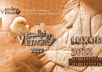 خاص | لهذا السبب «فيتا جرو الأقصر» ذو أهمية في مناطق الصعيد