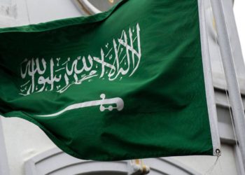 دراسة مشروع الدجاج البياض مربح في السعودية