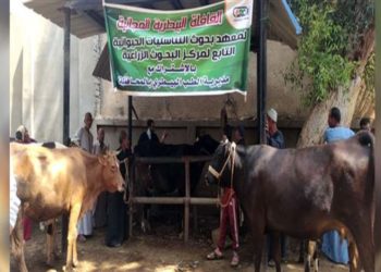 معهد التناسليات : قافلة بيطرية للتلقيح الإصطناعي لمواشي لصغار المربيين