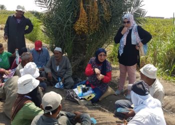 في إطار مبادرة حياة كريمة..”الزراعة” تنفذ ٥٠٠ ندوة توعوية بأهمية مراكز تجميع الألبان