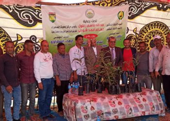 الزراعة: بحوث الصحراء ينظم يوم حقلي في شمال سيناء لاستعراض أصناف محاصيل الأعلاف