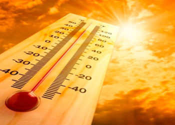 طقس مائل للحرارة على أغلب الأنحاء وشبورة كثيفة.. والقاهرة 30 درجة