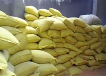 توفير ثلاثين طن بالمجان من الأعلاف الحيوانية لدعم صغار المربين  بشمال سيناء.