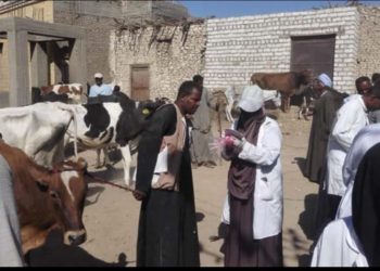 إنطلاق فعاليات برنامج الحملة القومية للقوافل البيطرية لصغار الفلاحين بمحافظة أسوان