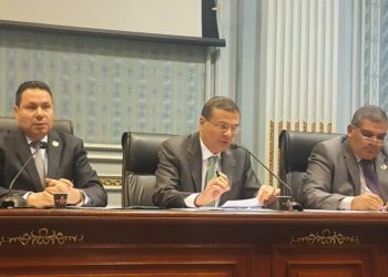 علاء فاروق:الحصول على قروض إنتاجية واستخدامها في غير الأنشطة الممنوحه لها .. أهم أسباب التعثر