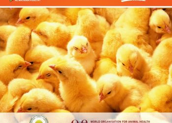 للعام الثاني..منظمة”OIE”تؤكد خلو منشأت مجموعة دواجن الوطنية بمصر من إنفلونزا الطيور