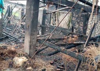 التفاصيل الكاملة..لحريق مزرعة للدواجن والماشية بمحافظة بورسعيد