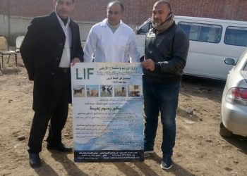 الزراعة تنظم قافلة بيطرية مجانية بمحافظة المنوفية في إطار مبادرة حياة كريمة