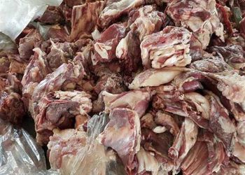 أسماك مجمدة و لحوم و دواجن