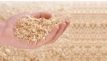 نصائح ذهبية يجب القيام بها عند بداية تحضين الصيصان