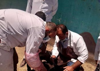 «بيطري الشرقية» يُجري مسحا لـ5 آلاف و770 رأس ماشية وتلقيح 1573رأسا