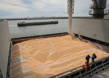 بشري للمستوردين.. حبوب أوكرانيا تواصل التصدير من البحر الأسود