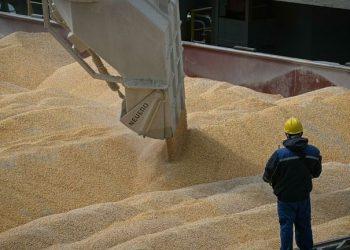 بشري للمستوردين.. حبوب أوكرانيا تواصل التصدير من البحر الأسود