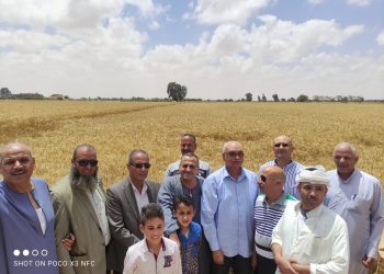 ثالث أيام عيد الفطر المبارك.. الزراعة تتابع حصاد وتوريد القمح في كل المحافظات