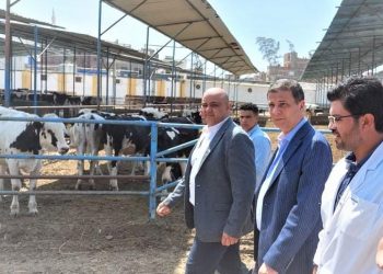  بالأرقام.. طفرة كبيرة في مؤشرات أداء البنك الزراعي المصري بنهاية النصف الأول من 2022