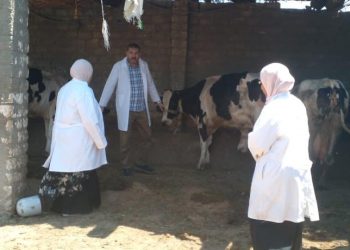 الزراعة: تحصين 766 ألف جرعة ضد مرضى الحمي القلاعية وحمى الوادي المتصدع حتى 18 يوليو الجاري