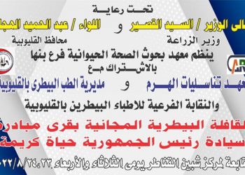 صحة الحيوان ينظم قافلة بيطرية مجانية لعلاج مواشي صغار المزارعين بالقليوبية