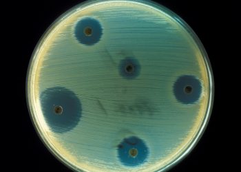 أهمية اللاكتوفيرين واستخدامه كمضاد حيوى