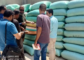 (بالصور) لأول مرة في وزارة الزراعة بالأتفاق مع منتجي الدواجن.. استلام مصانع الأعلاف للذرة الأصفر
