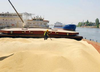 تقرير.. روسيا تستعد لتصدير 30 مليون طن من القمح والحبوب