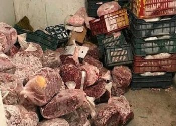 التحفظ على 181 كيلو لحوم ودواجن وأسماك فاسدة